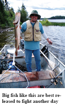 Ontario Northern Pike